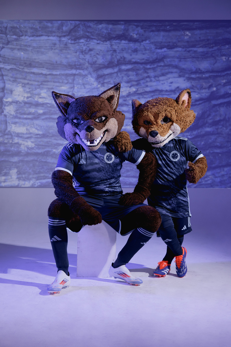 Raposinha Cruzeiro:作为吉祥物,它如何征服了克鲁塞罗球迷的心?