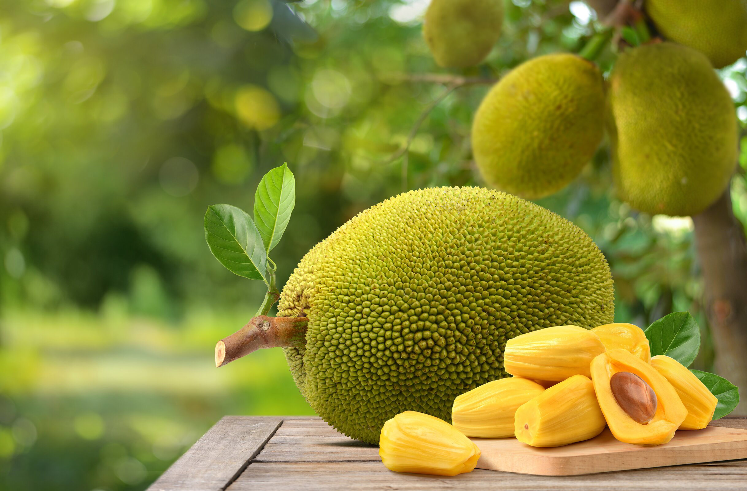 As jaca calorias são altas? Veja aqui a comparação com outras frutas populares.