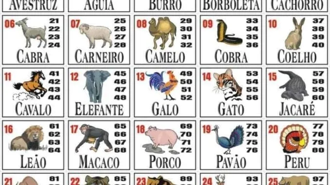 Resultado das 11:00 do Rio de Janeiro: Deu zebra? Veja os números sorteados agora!
