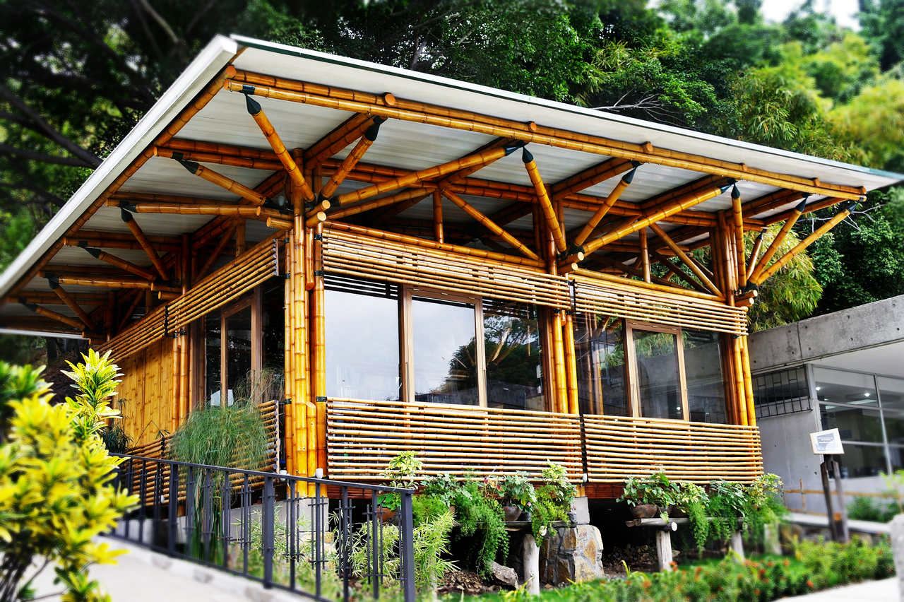 Chalé de bambu é sustentável? Descubra todas as vantagens dessa construção ecológica!