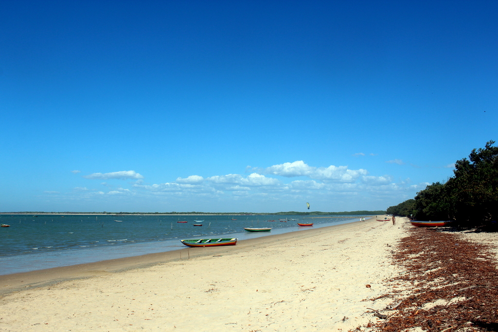 Visitar Cajueiro da Praia Barra Grande: Vale a pena? (Descubra o porquê agora!)