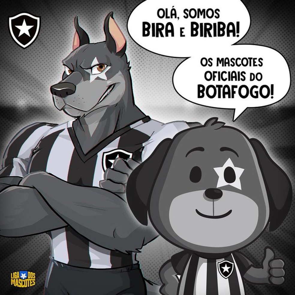 Todo mundo pergunta qual é o mascote do Botafogo. Saiba quem ele representa.