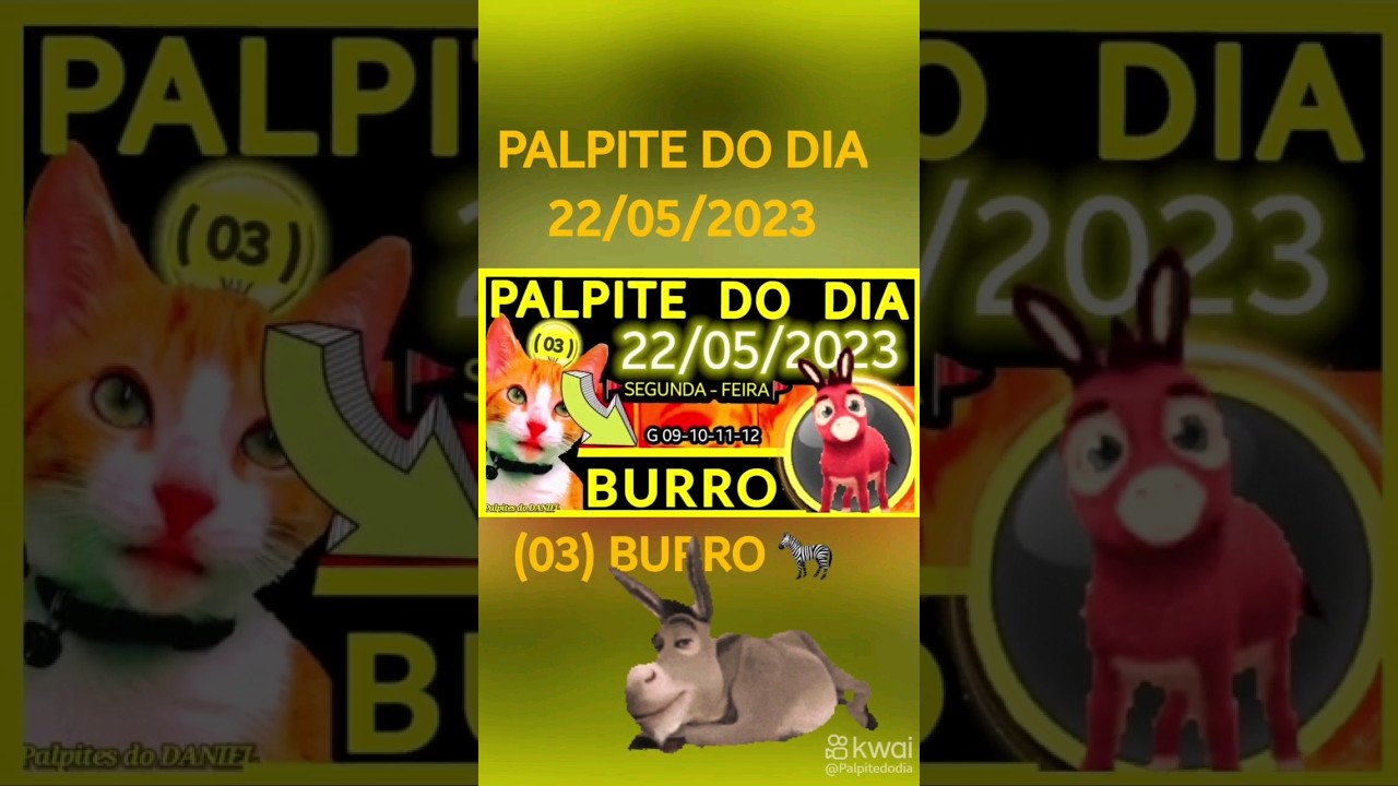 palpites do daniel para hoje