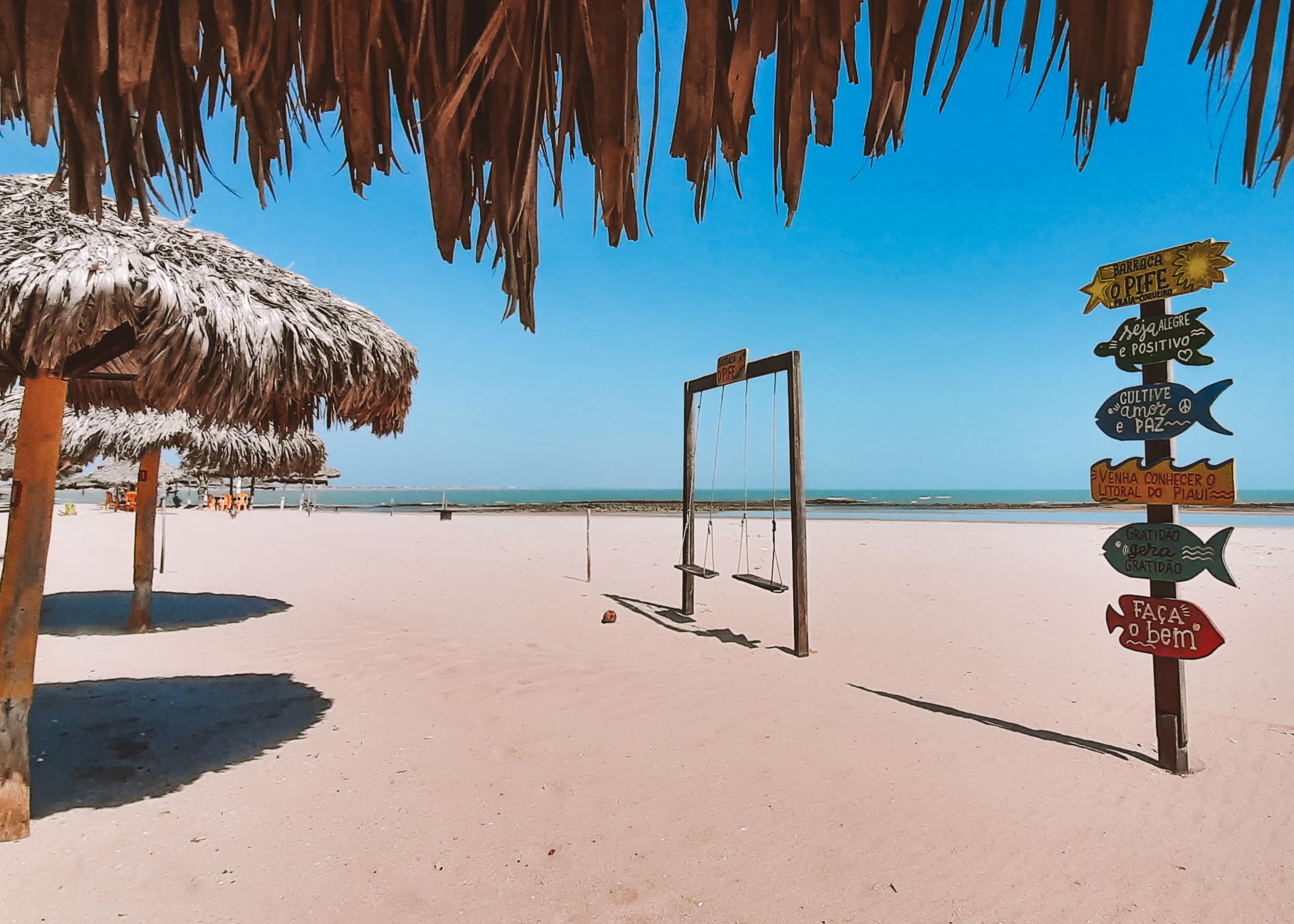 Visitar Cajueiro da Praia Barra Grande: Vale a pena? (Descubra o porquê agora!)