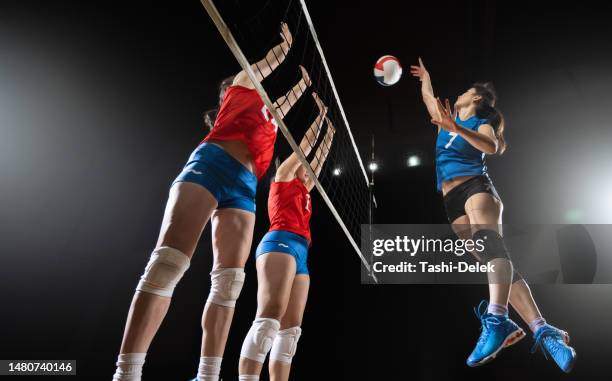 Fotos do volei feminino atualizadas (encontre as novidades em sites rápidos!)