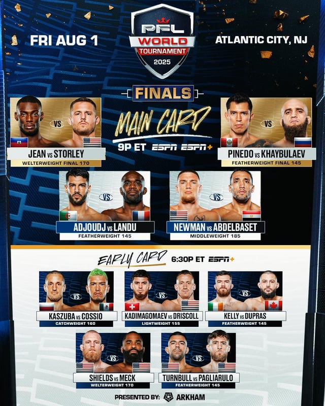 PFL Card hoje como consultar veja passo a passo simples